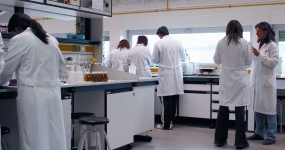Auxiliar de Laboratório de Bioquímica Clínica
