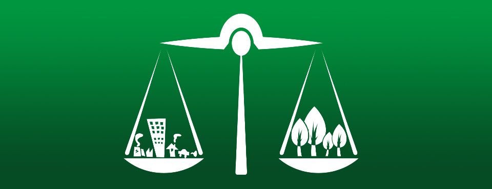 Direito Ambiental e a Biodiversidade