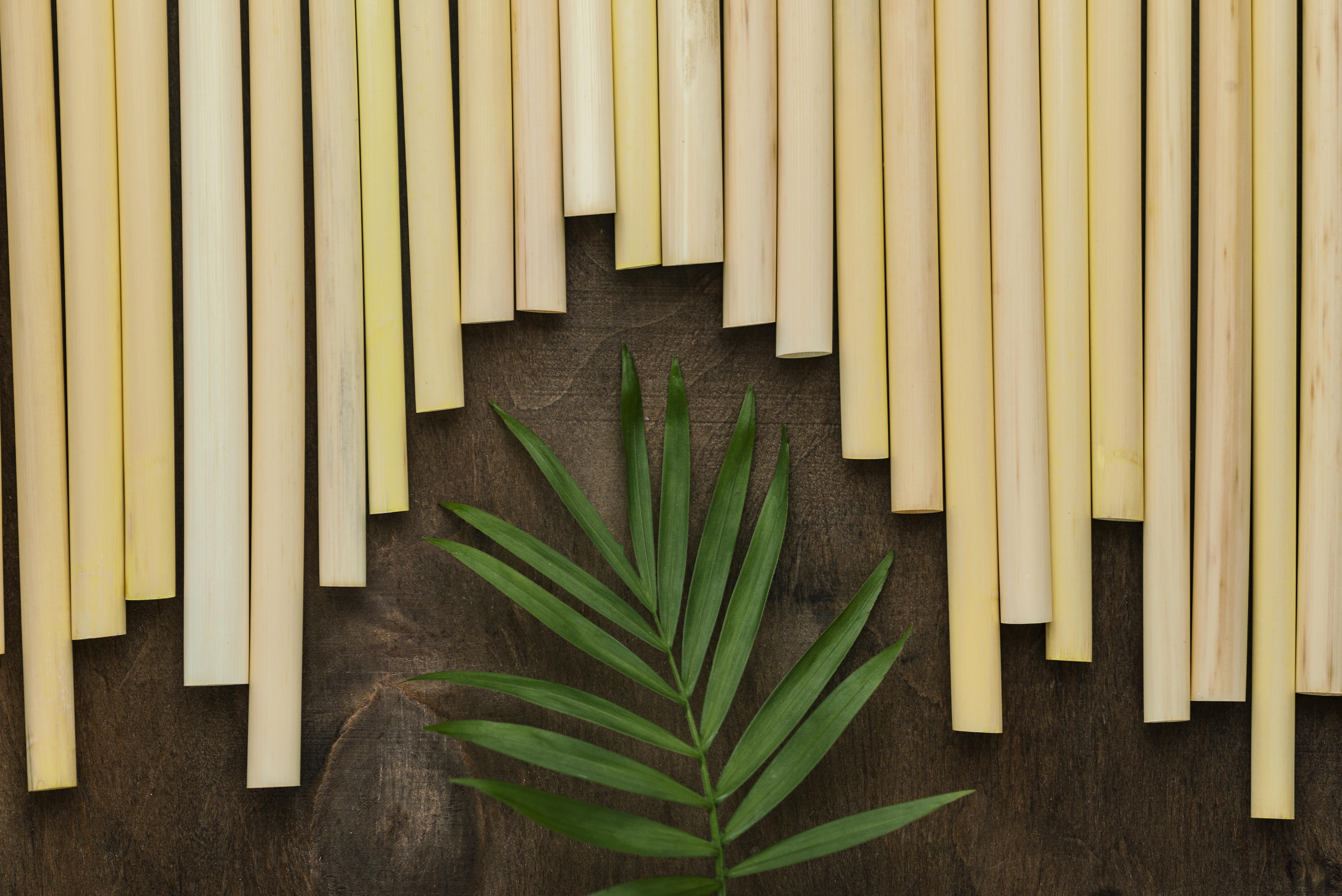 Artesanato em Bambu